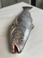 Pungo