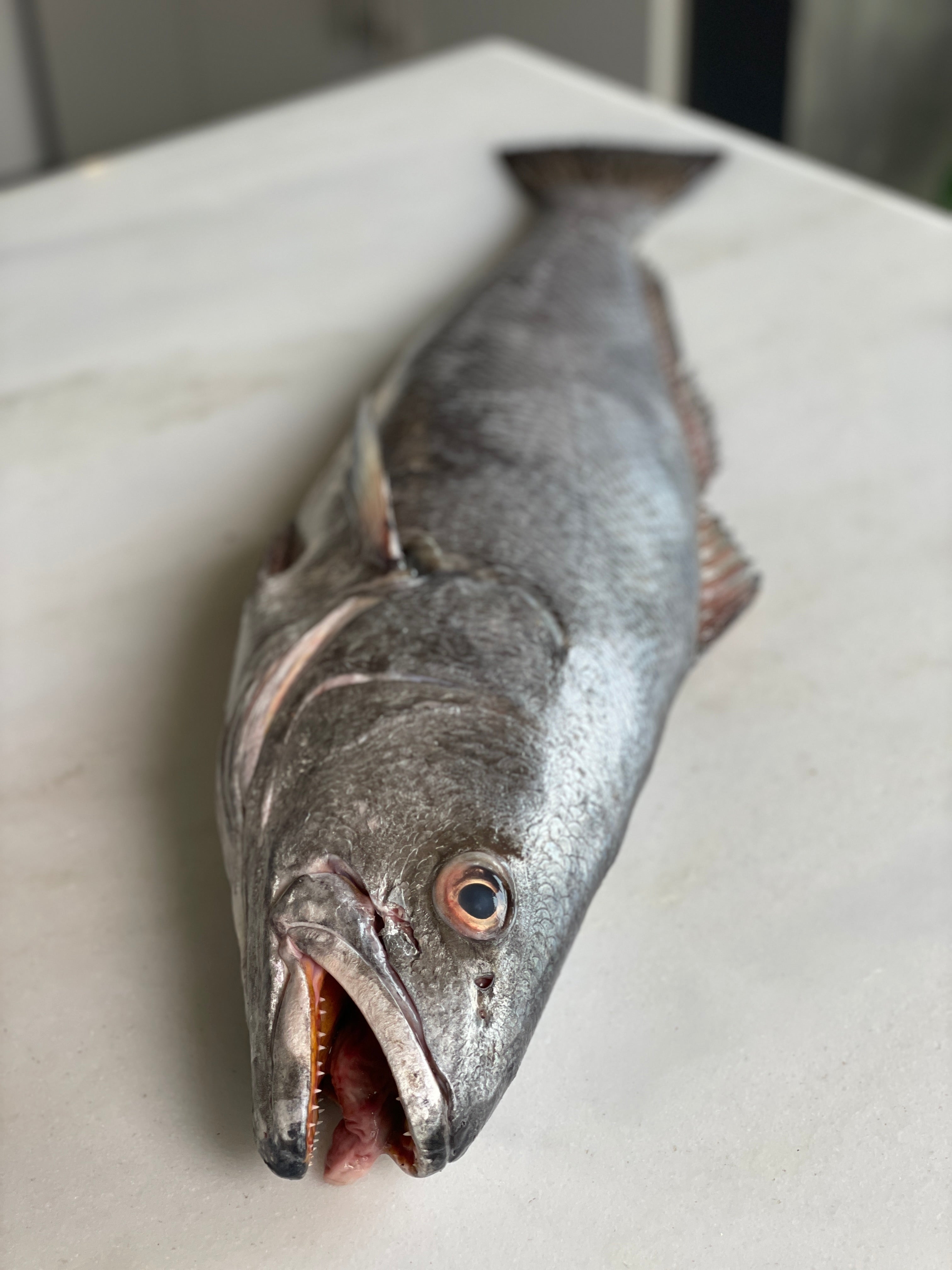 Pungo - 1kg