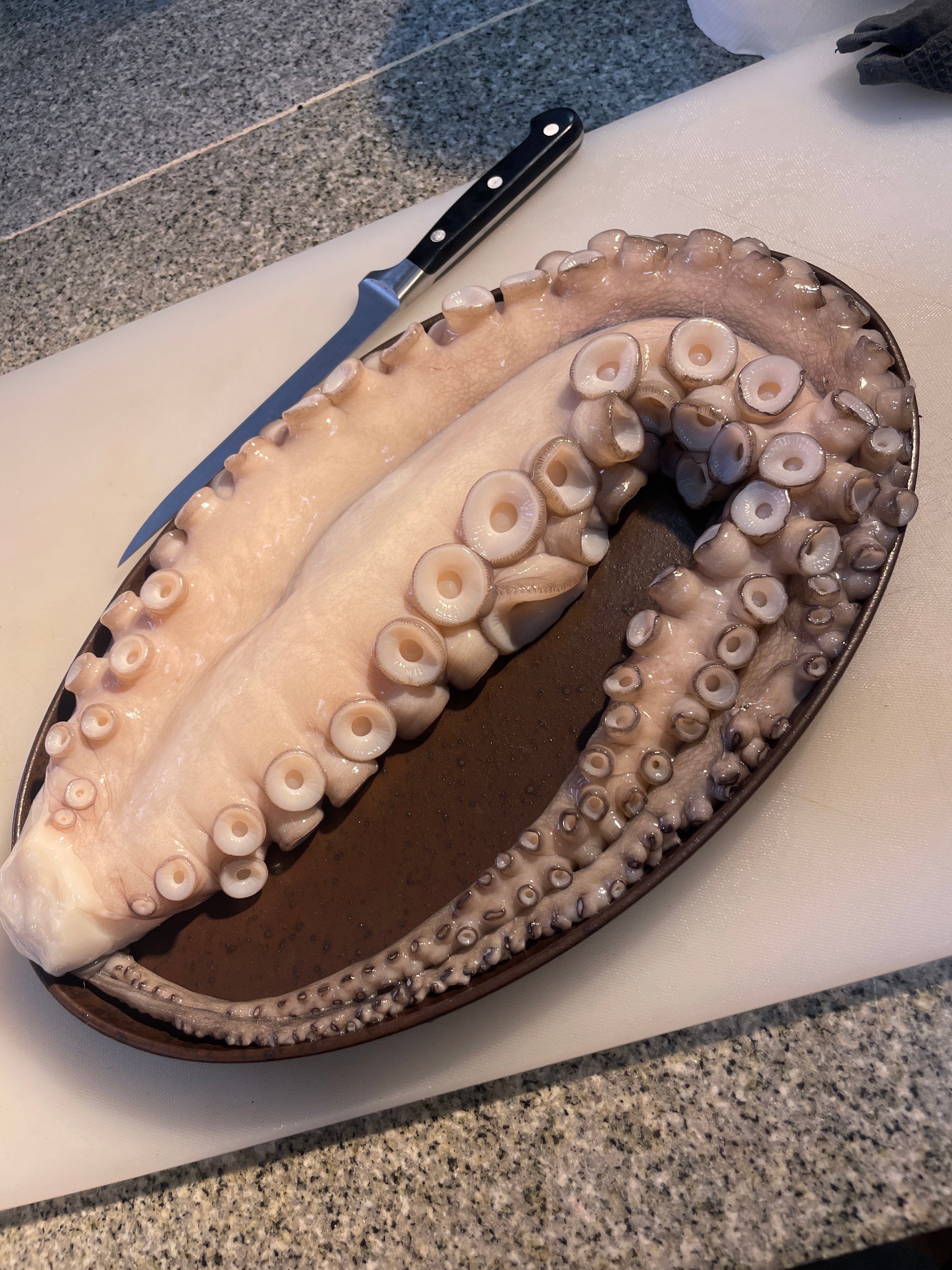 Polvo