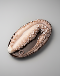Polvo