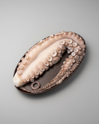 Polvo