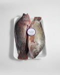 Squid/cuttlefish - 1kg