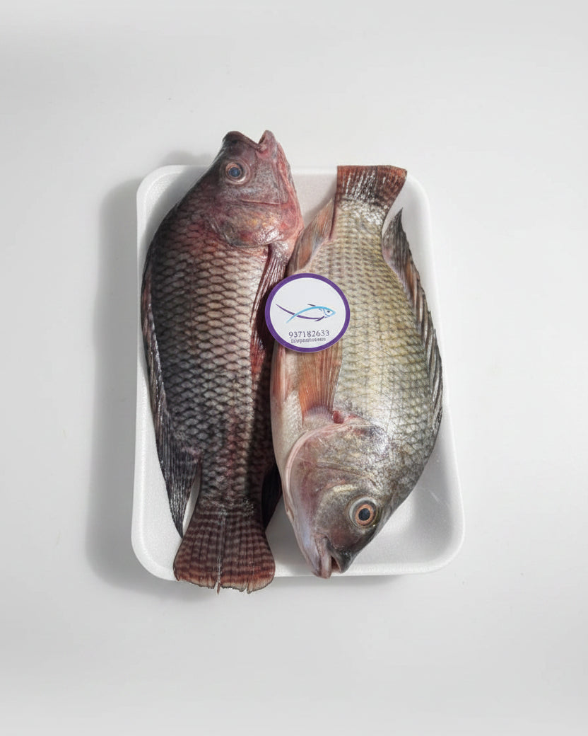 Squid/cuttlefish - 1kg