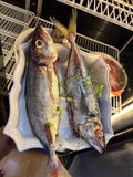 Peixe Carapau