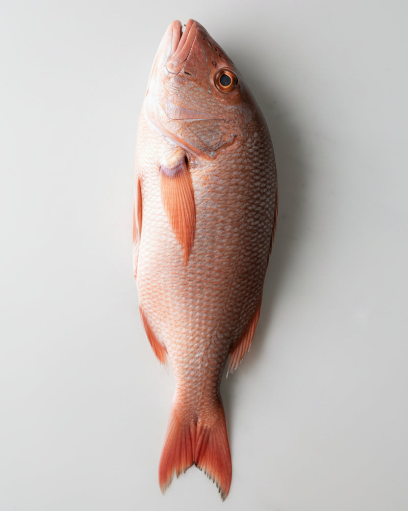 Pargo - 1kg
